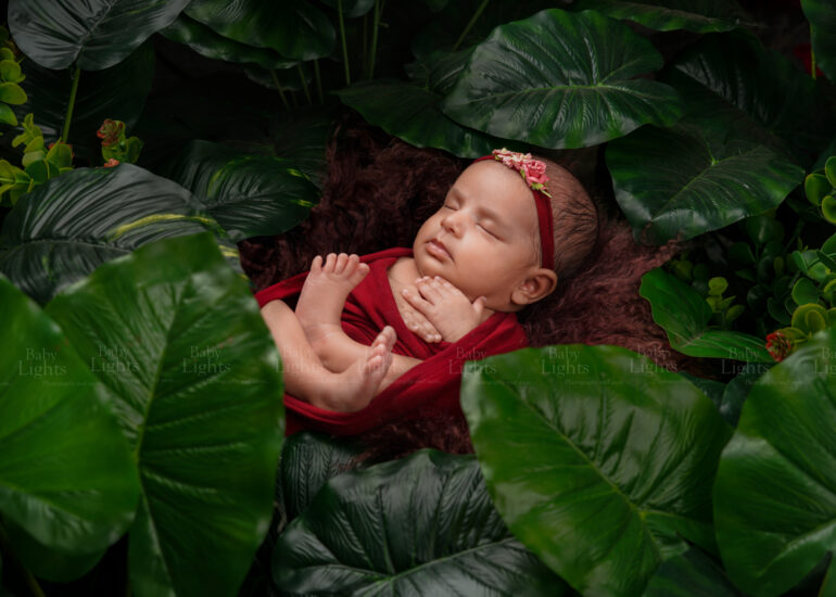 New Born photography