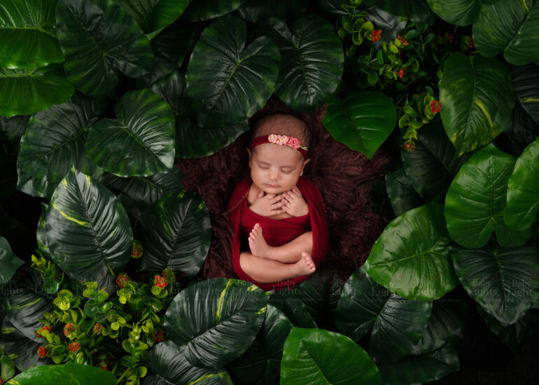 Tropical Leaf New born